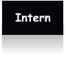 Intern