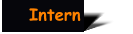 Intern